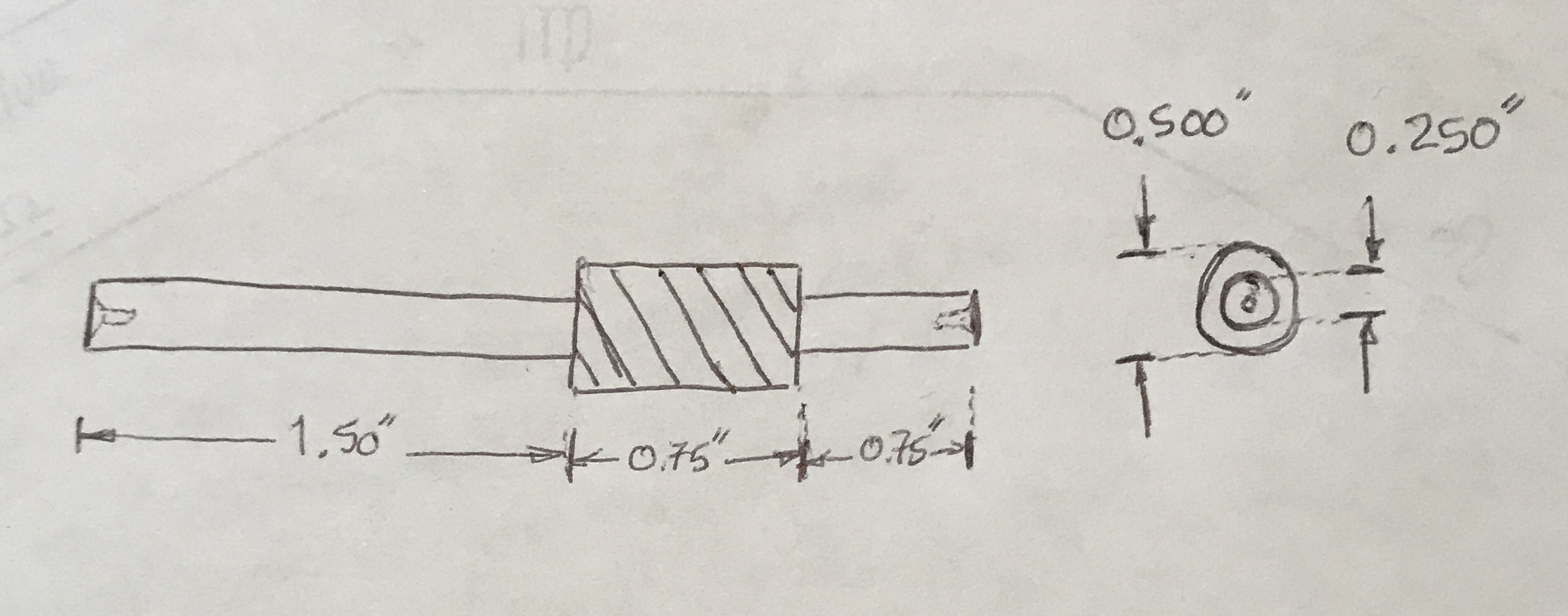 Plan for the worm